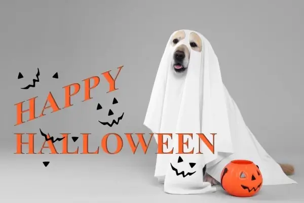 Happy Halloween from Delano Mortgage Services